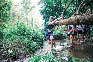 BIB: 
                            <button type="button" onclick="openModal(25460217)" class="btn btn-primary btn-sm float-right btn-popup" data-toggle="modal" data-target=".modal-high-quality">
                        <i class="fas fa-shopping-cart"></i> Add to Cart
                    </button>
                                            <button type="button" onclick="isThisMe(25460217, true)" class="btn btn-success btn-sm float-right btn-popup btn-isme hidden" data-toggle="tooltip" data-placement="bottom" title="นี่คือรูปของคุณใช่ไหม คลิกที่นี่เพื่อเอาเข้าอัลบั้ม">
                        <i class="fas fa-plus"></i> Add to album
                    </button>
                    <button type="button" onclick="isThisMe(25460217, false)" class="btn btn-warning btn-sm float-right btn-popup btn-isnotme hidden">
                        <i class="fas fa-ban"></i> Remove from album
                    </button>